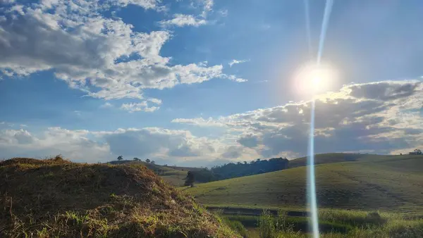 Brezilya 'da güneşli bir günde toprak yolda okaliptüs çiftliği.