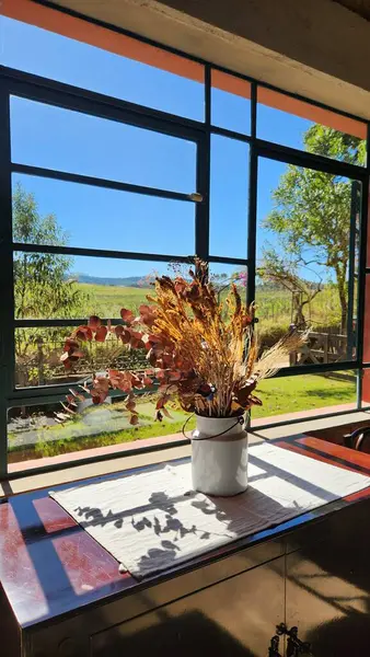 Çiftlikte pencere manzaralı kahvaltı.