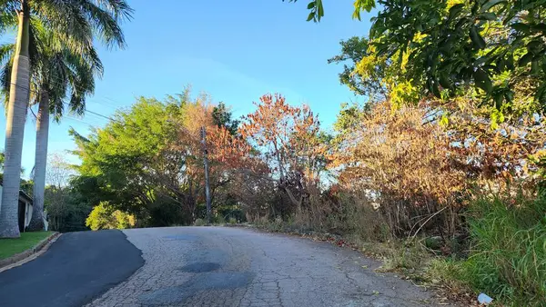 Güzel doğa manzaralı ve gölü olan bir yol.