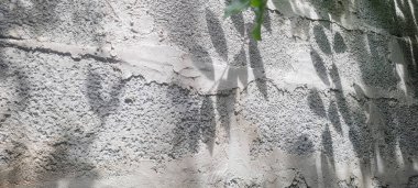 Sidretü 'l-Münteha' nın gölgesi,