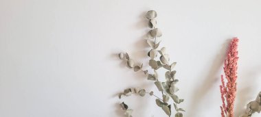 Kurumuş çiçeklerle hafif arkaplan