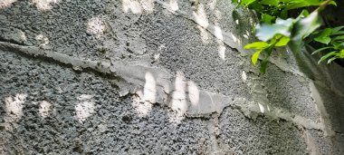 Yaprakların gölgeli tuğla duvar