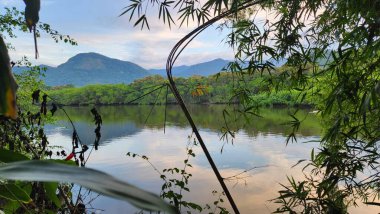 Brezilya 'nın kuzey kıyısındaki tropikal nehir ubatuba ubatumirim nehrinde