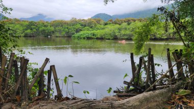 Brezilya 'nın kuzey kıyısındaki tropikal nehir ubatuba ubatumirim nehrinde