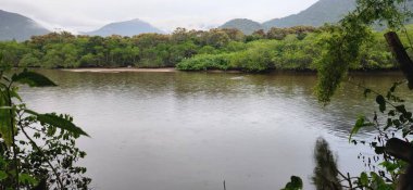 Brezilya 'nın kuzey kıyısındaki tropikal nehir ubatuba ubatumirim nehrinde