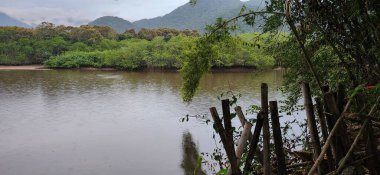 Brezilya 'nın kuzey kıyısındaki tropikal nehir ubatuba ubatumirim nehrinde
