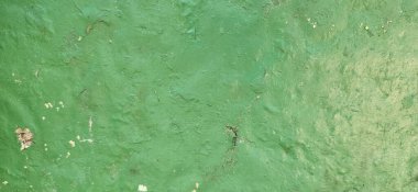 Kırsal dokuya sahip yeşil arkaplan