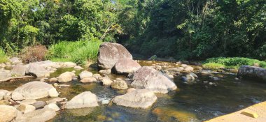Brezilya 'nın kuzey kıyısındaki tropikal nehir ubatuba ubatumirim nehrinde