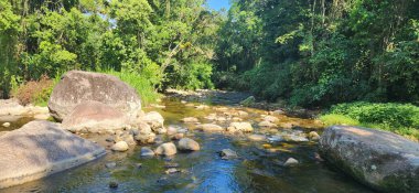 Brezilya 'nın kuzey kıyısındaki tropikal nehir ubatuba ubatumirim nehrinde