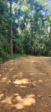 Brezilya 'nın kuzey kıyısındaki tropikal nehir ubatuba ubatumirim nehrinde