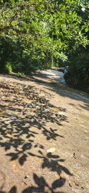 Brezilya 'nın kuzey kıyısındaki tropikal nehir ubatuba ubatumirim nehrinde