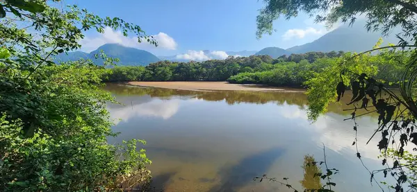 Brezilya 'nın kuzey kıyısındaki tropikal nehir ubatuba ubatumirim nehrinde