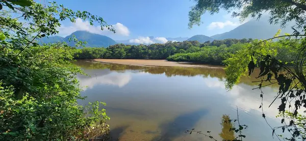 Brezilya 'nın kuzey kıyısındaki tropikal nehir ubatuba ubatumirim nehrinde