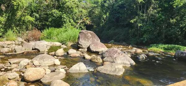 Brezilya 'nın kuzey kıyısındaki tropikal nehir ubatuba ubatumirim nehrinde