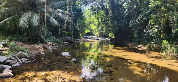 Brezilya 'nın kuzey kıyısındaki tropikal nehir ubatuba ubatumirim nehrinde