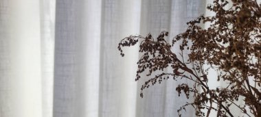 Kurumuş çiçeklerle hafif arkaplan