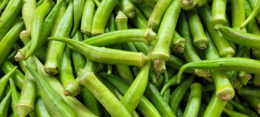 Satılık bamyanın resmi birlikte olgunlaşmış