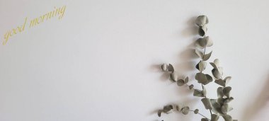 Beyaz arkaplan ve okaliptüs yazılı günaydın.