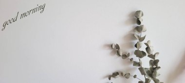 Beyaz arkaplan ve okaliptüs yazılı günaydın.