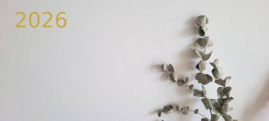 okaliptüs ve 2026 sayısıyla beyaz arkaplan