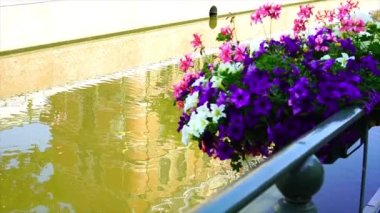 picturesque canal decorated with flowers and bicycle in Ghent, Belgium