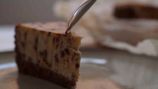 Yogurt Cheesecake Chocolate Chips Eating Cake Spoon — Vídeos de Stock
