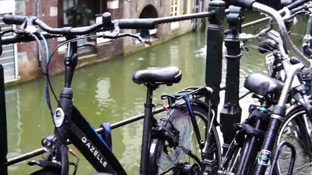 自転車の景色とオランダのユトレヒト運河 — ストック動画