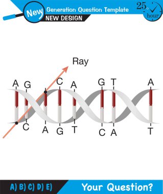 Biology, DNA helix, DNA replication, next generation question template, dumb physics figures, exam question, eps 