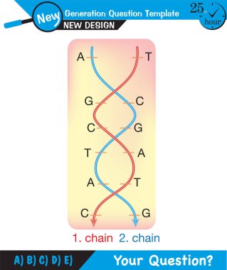 Biology, DNA helix, DNA replication, next generation question template, dumb physics figures, exam question, eps 