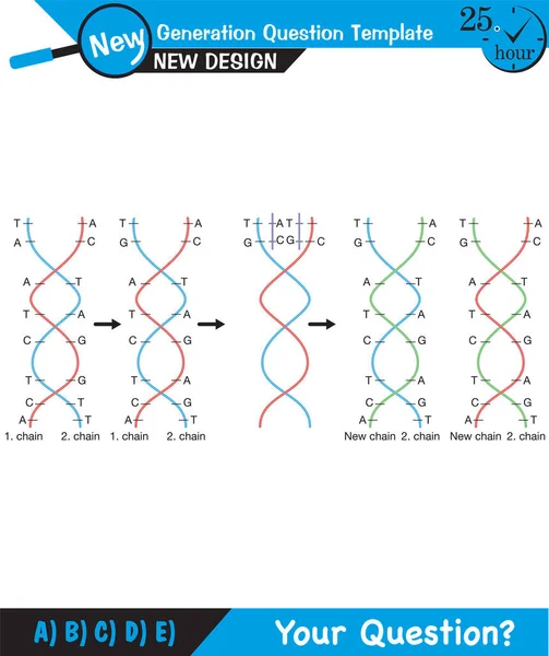 Biology Dna Helix Dna Replication Next Generation Question Template Dumb — Vettoriale Stock
