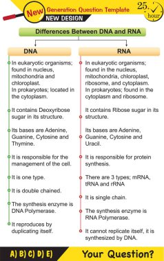 Biyoloji - Yaşayan şeylerin temel bileşenleri, şeker, fosfat, yağ, protein, vitamin, DNA, RNA, bağlar, yeni nesil soru şablonu, sınav sorusu,