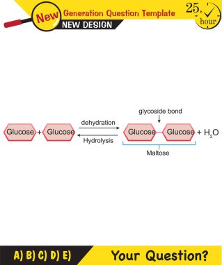 Biyoloji - Yaşayan şeylerin temel bileşenleri, şeker, fosfat, yağ, protein, vitamin, DNA, RNA, bağlar, yeni nesil soru şablonu, sınav sorusu,