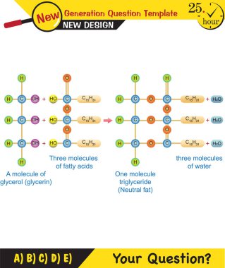 Biyoloji - Yaşayan şeylerin temel bileşenleri, şeker, fosfat, yağ, protein, vitamin, DNA, RNA, bağlar, yeni nesil soru şablonu, sınav sorusu,