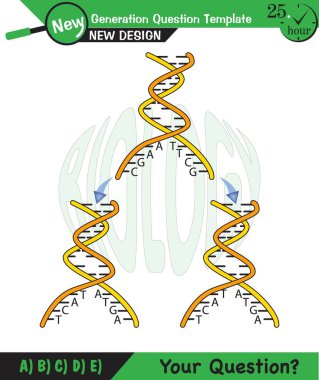 Biology, DNA helix, DNA replication, next generation question template, dumb physics figures, exam question, eps