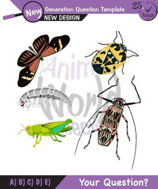 Hayvan dünyası, böcekler, vektör, ep, yeni nesil soru şablonu, öğretmen için, düzenlenebilir