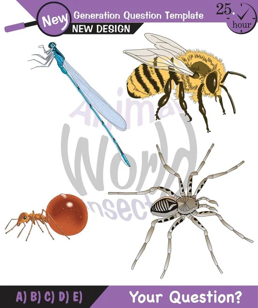 Animal world, insects, vector, eps, new generation question template, for teacher, editable