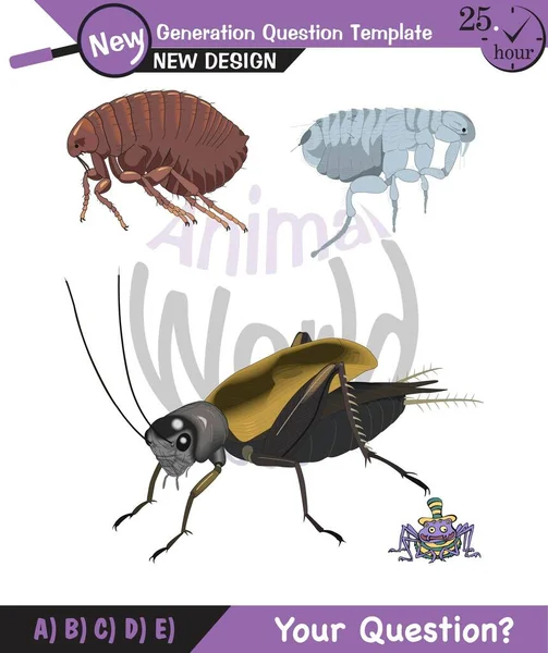 Animal world, insects, vector, eps, new generation question template, for teacher, editable