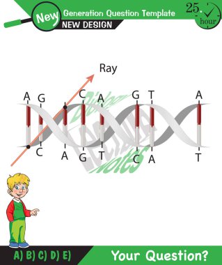 Biology, DNA helix, DNA replication, next generation question template, dumb physics figures, exam question, eps