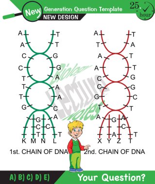 Biology, DNA helix, DNA replication, next generation question template, dumb physics figures, exam question, eps
