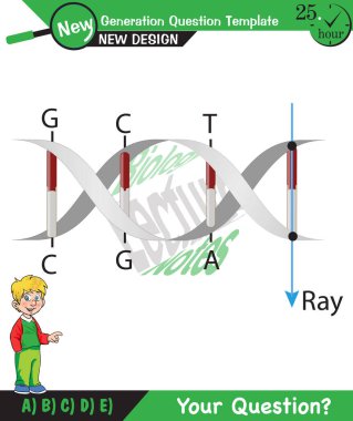 Biology, DNA helix, DNA replication, next generation question template, dumb physics figures, exam question, eps