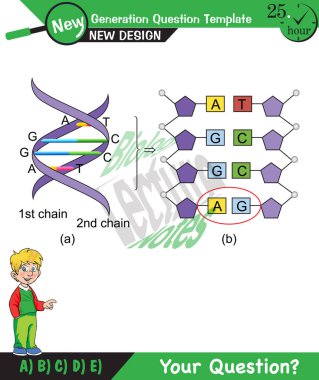 Biology, DNA helix, DNA replication, next generation question template, dumb physics figures, exam question, eps