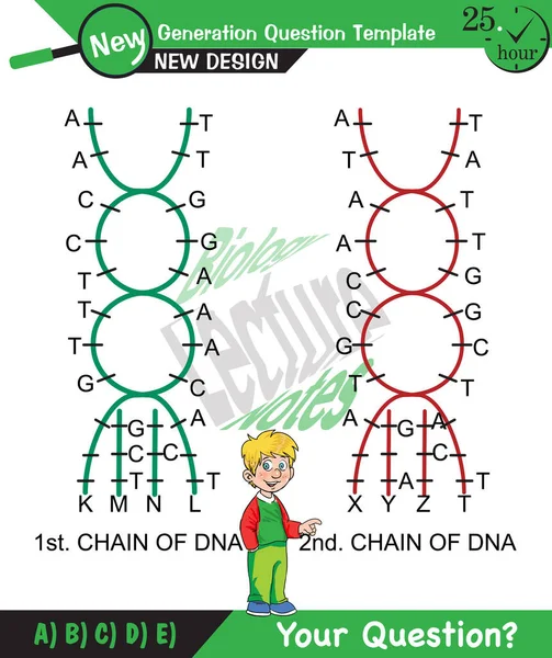 Biology, DNA helix, DNA replication, next generation question template, dumb physics figures, exam question, eps