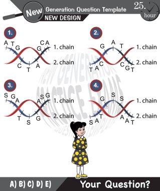 Biyoloji, Kalıtım Kombinasyonu, Mendelian genetiği, Yeni nesil problemleri, sınav soruları, öğretmenler için, düzenlenebilir, eposta, metin, erkek, kız, iki kız kardeş konuşma balonu, şablon