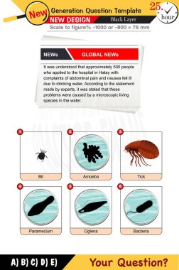 Sayısal ve sözlü dersleri, gelecek nesil problemlerini ve hem lise hem de ortaokul öğrencileri için standartlaştırılmış sınav soru planlarını birleştirerek yenilikçi ve etkili öğrenme deneyimlerini teşvik etmek.