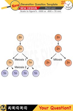 Öğretmenler için tasarlandı, sayısal ve sözlü dersleri etkili bir şekilde birleştirdi. Bu şablonlar yeni nesil problemleri ve standartlaştırılmış sınav planlarını içerir. 2026 yılına göre tasarlanmış, siyah katmanları da kapsayan, etkin öğrenmeyi teşvik ediyorlar..