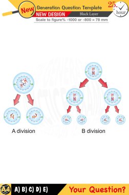 Öğretmenler için tasarlandı, sayısal ve sözlü dersleri etkili bir şekilde birleştirdi. Bu şablonlar yeni nesil problemleri ve standartlaştırılmış sınav planlarını içerir. 2026 yılına göre tasarlanmış, siyah katmanları da kapsayan, etkin öğrenmeyi teşvik ediyorlar..