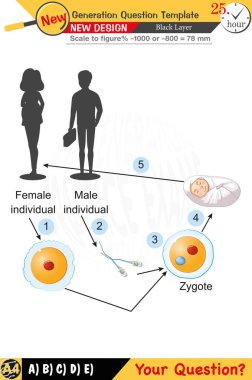 Öğretmenler için tasarlandı, sayısal ve sözlü dersleri etkili bir şekilde birleştirdi. Bu şablonlar yeni nesil problemleri ve standartlaştırılmış sınav planlarını içerir. 2026 yılına göre tasarlanmış, siyah katmanları da kapsayan, etkin öğrenmeyi teşvik ediyorlar..