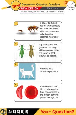 Öğretmenler için tasarlandı, sayısal ve sözlü dersleri etkili bir şekilde birleştirdi. Bu şablonlar yeni nesil problemleri ve standartlaştırılmış sınav planlarını içerir. 2026 yılına göre tasarlanmış, siyah katmanları da kapsayan, etkin öğrenmeyi teşvik ediyorlar..