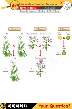 Öğretmenler için tasarlandı, sayısal ve sözlü dersleri etkili bir şekilde birleştirdi. Bu şablonlar yeni nesil problemleri ve standartlaştırılmış sınav planlarını içerir. 2026 yılına göre tasarlanmış, siyah katmanları da kapsayan, etkin öğrenmeyi teşvik ediyorlar..