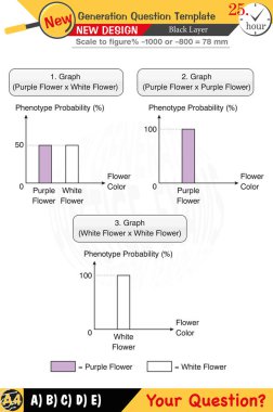 Öğretmenler için tasarlandı, sayısal ve sözlü dersleri etkili bir şekilde birleştirdi. Bu şablonlar yeni nesil problemleri ve standartlaştırılmış sınav planlarını içerir. 2026 yılına göre tasarlanmış, siyah katmanları da kapsayan, etkin öğrenmeyi teşvik ediyorlar..